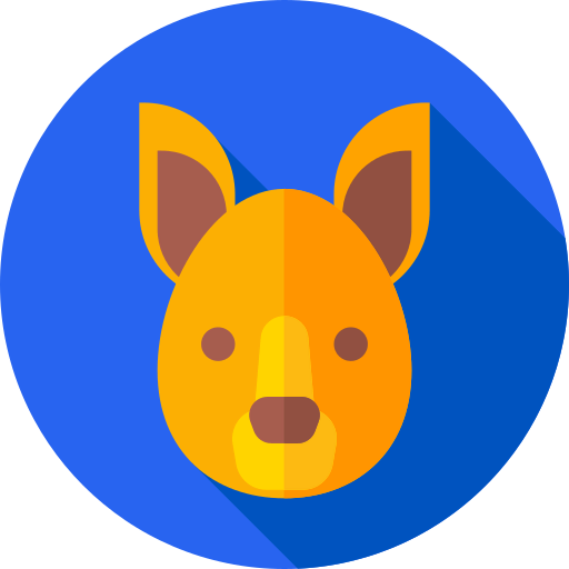 Kangaroo icon