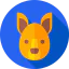Kangaroo icon 64x64