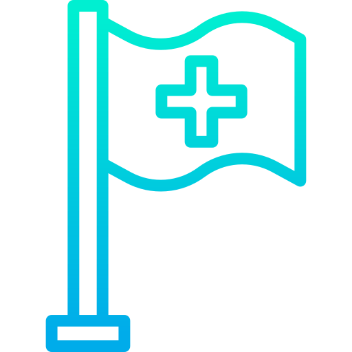 Flag icon