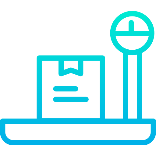 Scale icon
