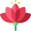 Lotus flower icon 64x64