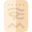 Hieroglyph icon 64x64