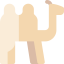 Dromedary icon 64x64