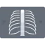 Ribs icon 64x64