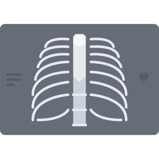 Ribs icon