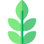 Herbs 상 64x64