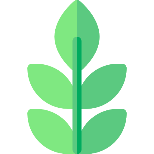 Herbs icon