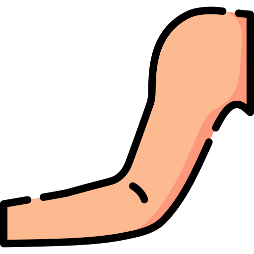 Arm icon