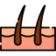 Skin icon 64x64
