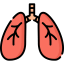 Lungs icon 64x64