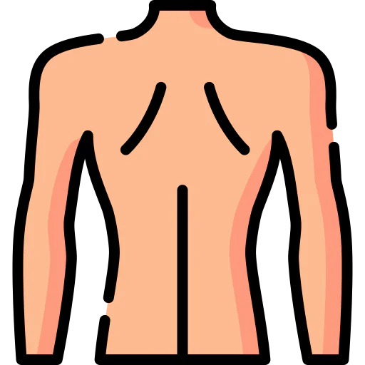 Back icon