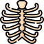 Rib cage іконка 64x64