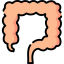 Intestine icon 64x64