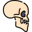 Skull icon 64x64