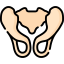Pelvis icon 64x64