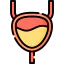 Bladder アイコン 64x64