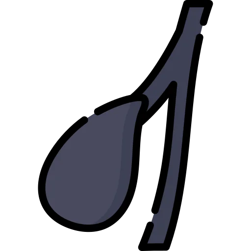 Gallbladder icon