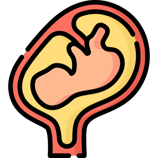 Fetus icon