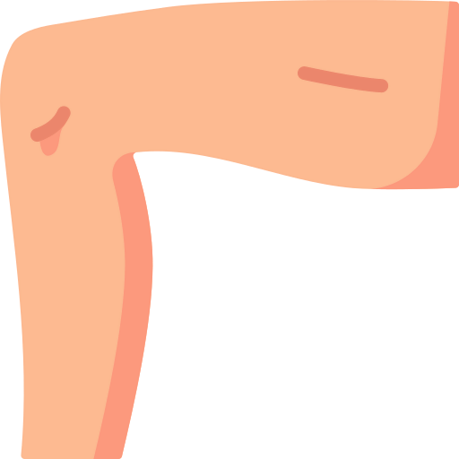 Leg icon