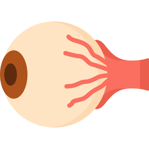 Eye icon