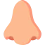 Nose Ikona 64x64