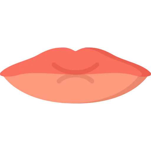 Lips icon
