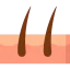 Skin icon 64x64