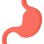 Stomach 상 64x64