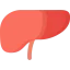 Liver Symbol 64x64