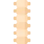 Spine icon 64x64