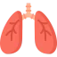 Lungs icon 64x64