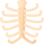 Rib cage іконка 64x64