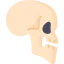 Skull icon 64x64