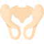 Pelvis icon 64x64