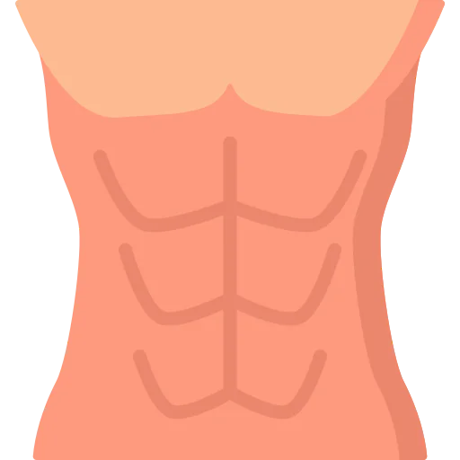 Abs icon