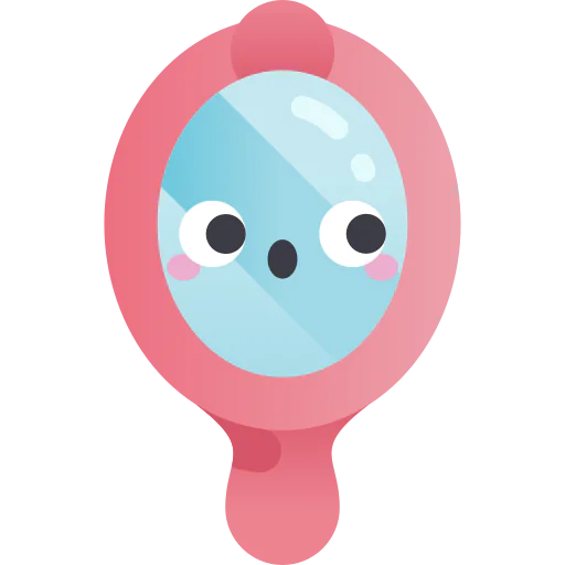 Mirror icon