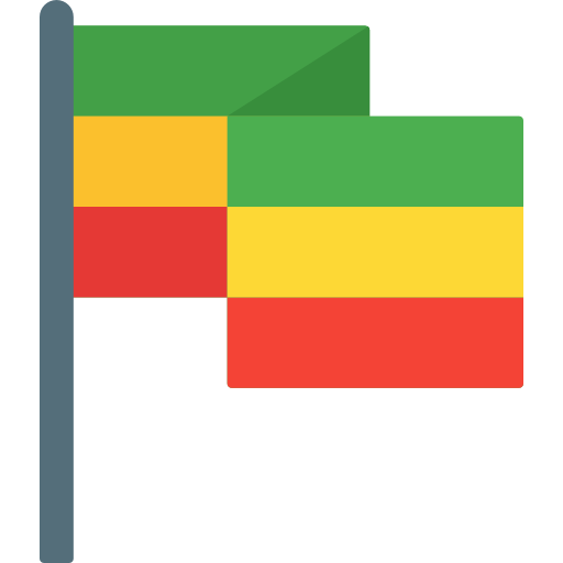 Flag icon