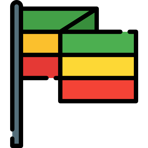Flag icon