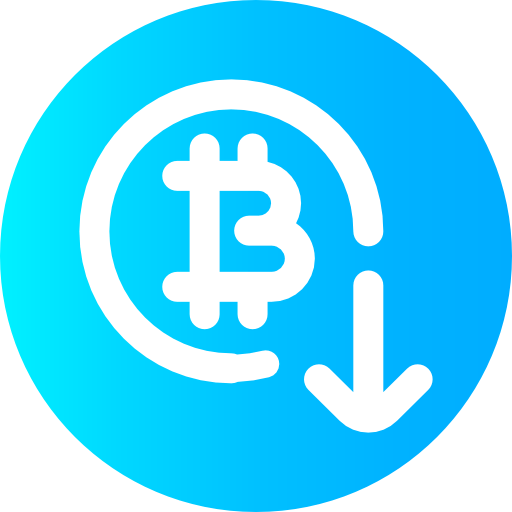 Bitcoin icon