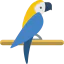 Parrot icon 64x64