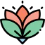 Lotus icon 64x64