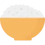 Rice icon 64x64