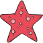 Starfish icon 64x64