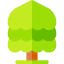 Tree icon 64x64