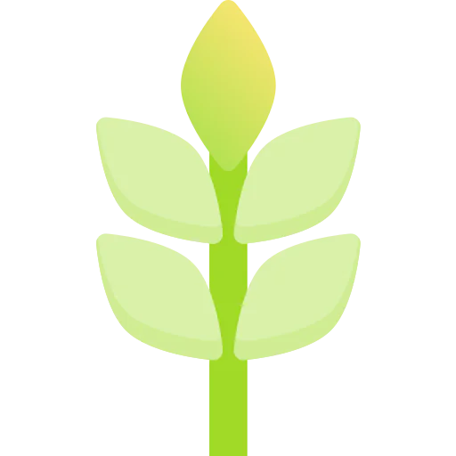 Wheat icon