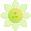 Sunflower icon 64x64