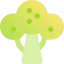 Fruit tree アイコン 64x64