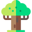 Baobab icon 64x64