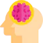 Brain icon 64x64