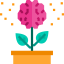 Growth icon 64x64